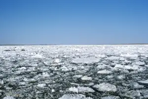 Floes Prints: Russia - ice floes