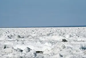 Barren Prints: Russia - river Lena frozen