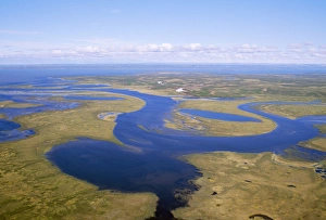 Aerials Gallery: RUSSIA - semi-tundra aerial view of taiga