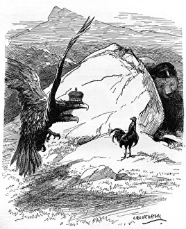 International/Cartoon