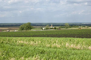 Images Dated 2010 June: 13 Jun 2010