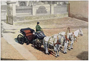 Images Dated 30th March 2021: RUSSIA : a summer troika. Date: 1890s