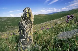Lichen Prints: Russia - view with lichen covered stone