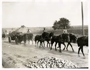 Gelatin Prints: Russian artillery - a big gun drawn by a horse team WWI