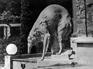 Belonging Prints: Russian Borzoi Statue
