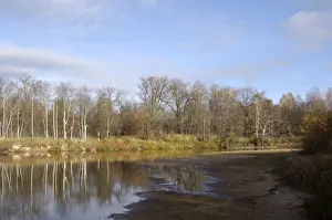 Russian Desman - habitat