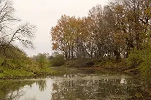 Desman Prints: Russian Desman - typical habitat