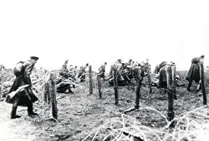 Galicia Prints: Russian infantry, Brusilov Offensive, Volhynia, WW1