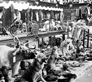 Stuffed Prints: Russian Pavilion, Exposition Universelle, Paris, 1889