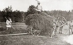 Peasants Prints: Russian peasants making hay, Russia, circa 1890
