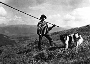 Images Dated 31st August 2011: Russian Shepherd