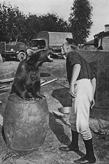 Fierce Collection: Russian soldier with regimental bear mascot, WW1