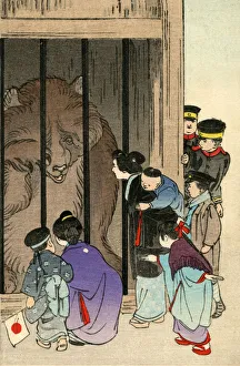 Defeated Gallery: Russo-Japanese War - Propaganda - The Caged Russian Bear