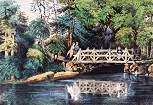 Images Dated 26th May 2011: Rustic Bridge, Central Park. New York