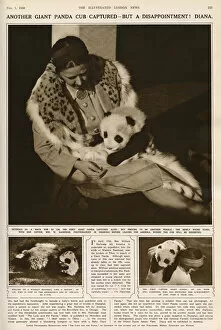 Images Dated 3rd November 2016: Ruth Harkness and her baby Giant Panda Diana, 1938
