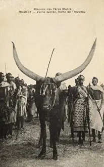 Horns Prints: Rwanda - Sacred Cow, Herd Queen
