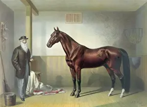 Rysdyks Hambletonian