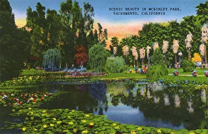 Mckinley Gallery: Sacramento, California, USA - McKinley Park Lake and Flowers