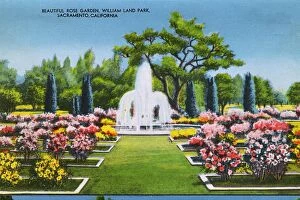 Images Dated 31st July 2017: Sacramento, California, USA, William Land Park - Rose Garden