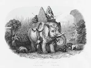 Siam Prints: Sacred elephant of the King of Siam
