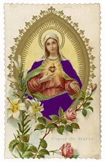 Sacred Heart of Mary