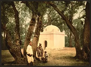 The sacred wood, Blidah, Algeria