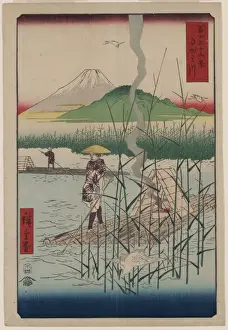 Sagami Prints: Sagami River