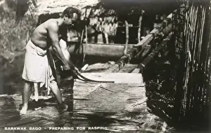Sago Industry of Sarawak