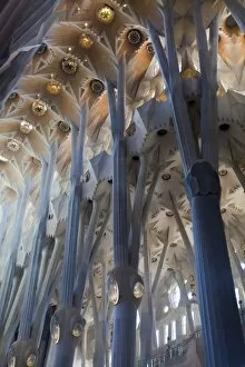 Images Dated 26th January 2011: Sagrada Familia interior