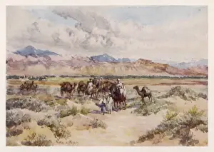 Sahara Caravan