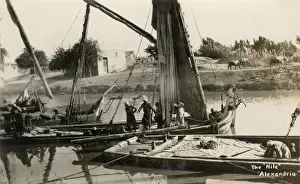 Shores Prints: Sailing boats on the Nile in Alexandria, Egypt