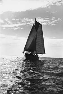 Sailing Ship