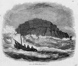 Alban Gallery: Saint Albans Head, Dorset