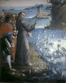 Images Dated 4th August 2015: Saint Anthony of Padua preaching to the fishes