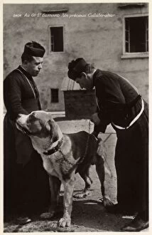 A Saint Bernard rescue dog with two priests, Switzerland