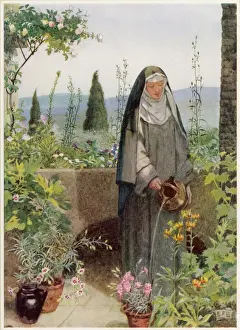Pla Nts Prints: Saint Clare