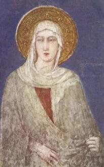 Fresco Collection: Saint Clare of Assisi