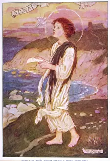 Area Prints: Saint David