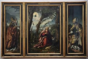 Images Dated 28th December 2012: Saint John Altarpiece, 1518, by Hans Burgkmair the Elder (14