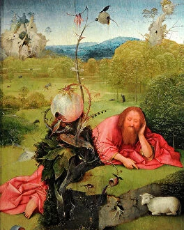 Bearded Collection: Saint John the Baptist in Meditation, by Hieronymus Bosch