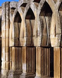 Saint John of Douro. Intertwined arches. Soria. Castile