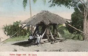Saint Lucia, Lesser Antilles, West Indies, Caribbean
