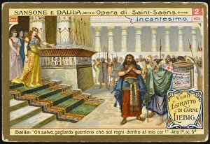 Saint Saens / Samson 3