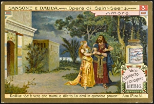 Saint Saens / Samson 3