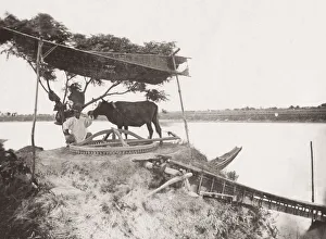 Sakkieh or ox driven water wheel used for irratagtion, Egypt