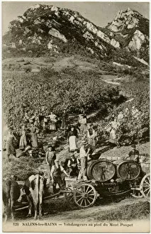 Pickers Gallery: Salins-les-Bains - Grape Harvest at the foot of Mount Poupet