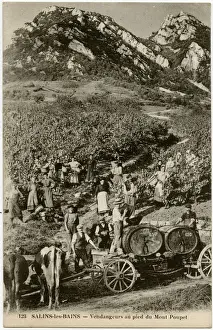 Vines Prints: Salins-les-Bains - Grape Harvest at the foot of Mount Poupet