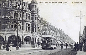 Commercial Gallery: The Salisbury Hotel pub, Green Lanes, Harringay, London
