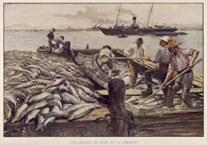 Salmon Fishing / Circ. 1906