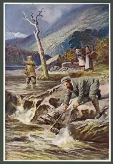 Salmon Fishing / Scotland